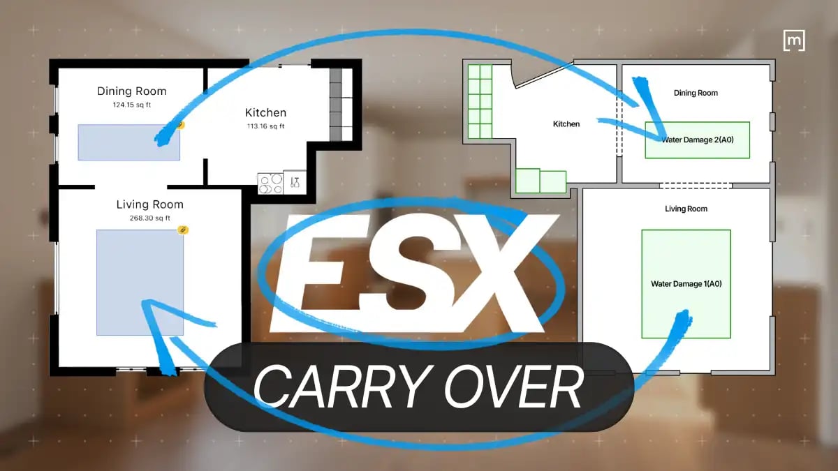 ESX CarryoveR illustration