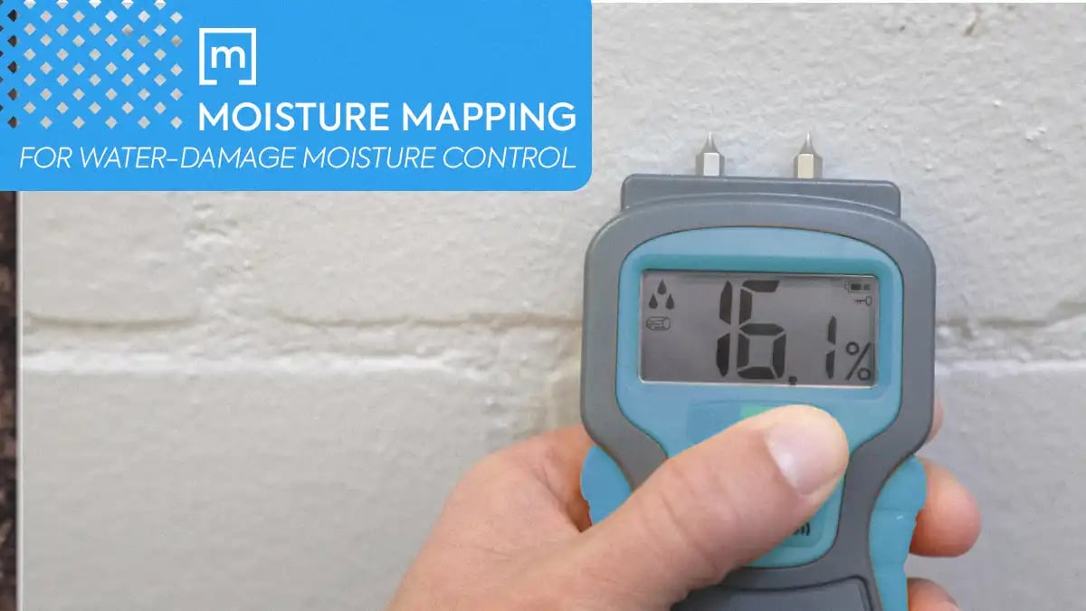 Blue moisture meter reading log of 16,1% on drywall hold with the hand of a restoration contractor for moisture mapping for water damage moisture control as a text