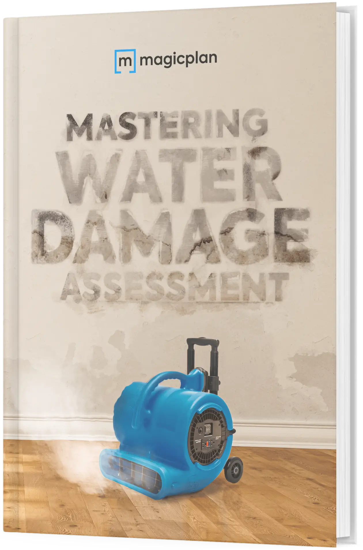 Mastering Water Damage Assessment ebook