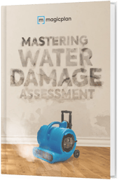 Mastering Water Damage Assessment