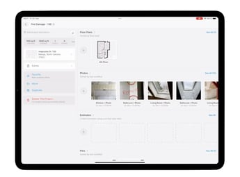 Image showing the Project level in magicplan