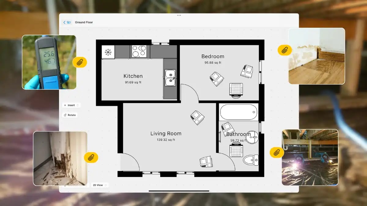 pin mousture readings plus photos